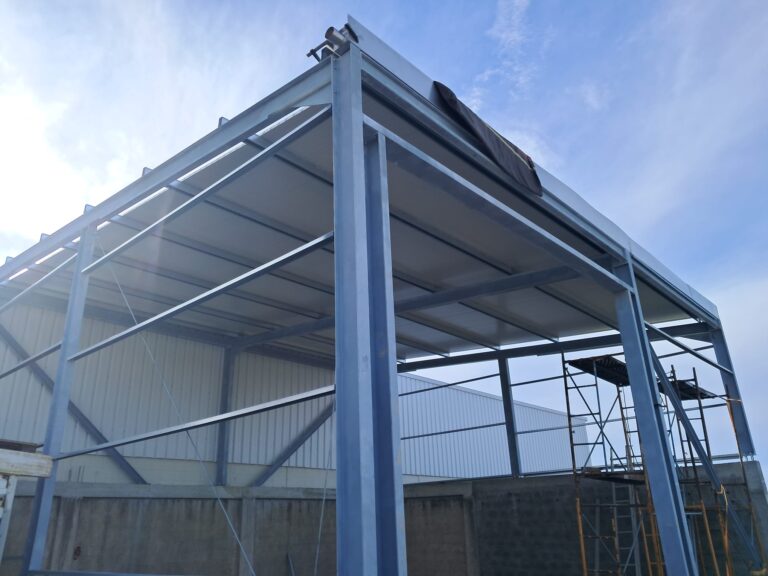 whatsapp image 2026 02 02 at 14.51.07 cópia